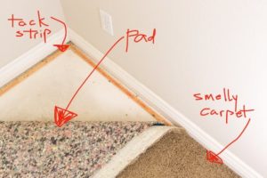 Carpet, Carpet Pad, and Tack Strip